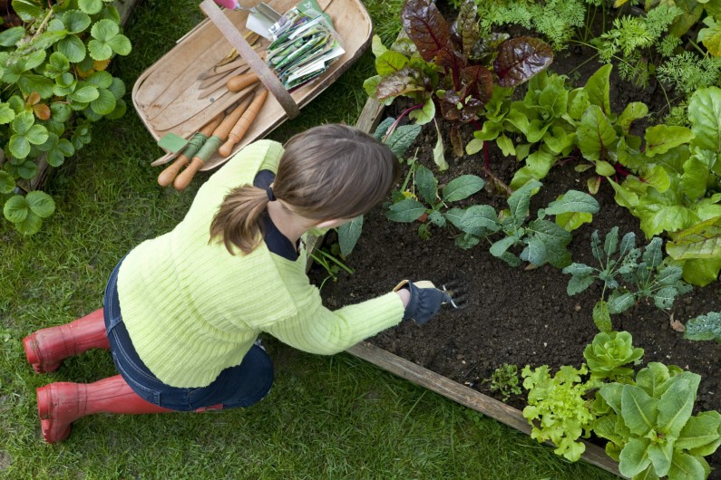 Building your own raised garden bed