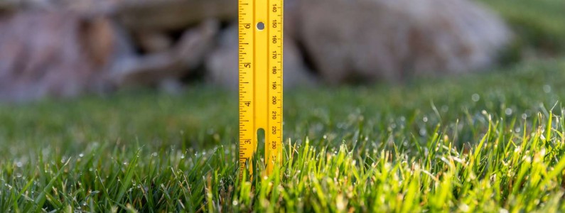 lawn cut at right height