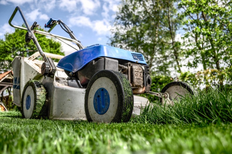 Choosing the right lawnmower